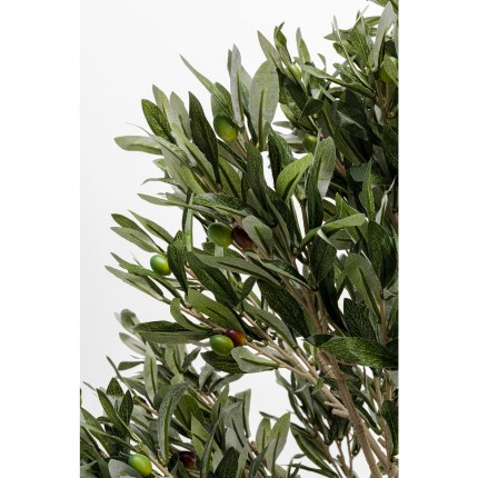 Deco Plant Olive Tree 120cm Kare Design