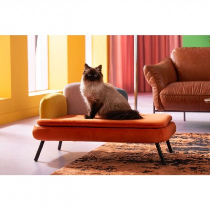 Bed for pets Diva orange Kare Design