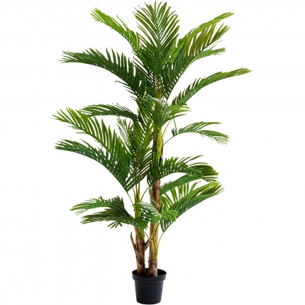 Deco plant palm tree 190cm Kare Design