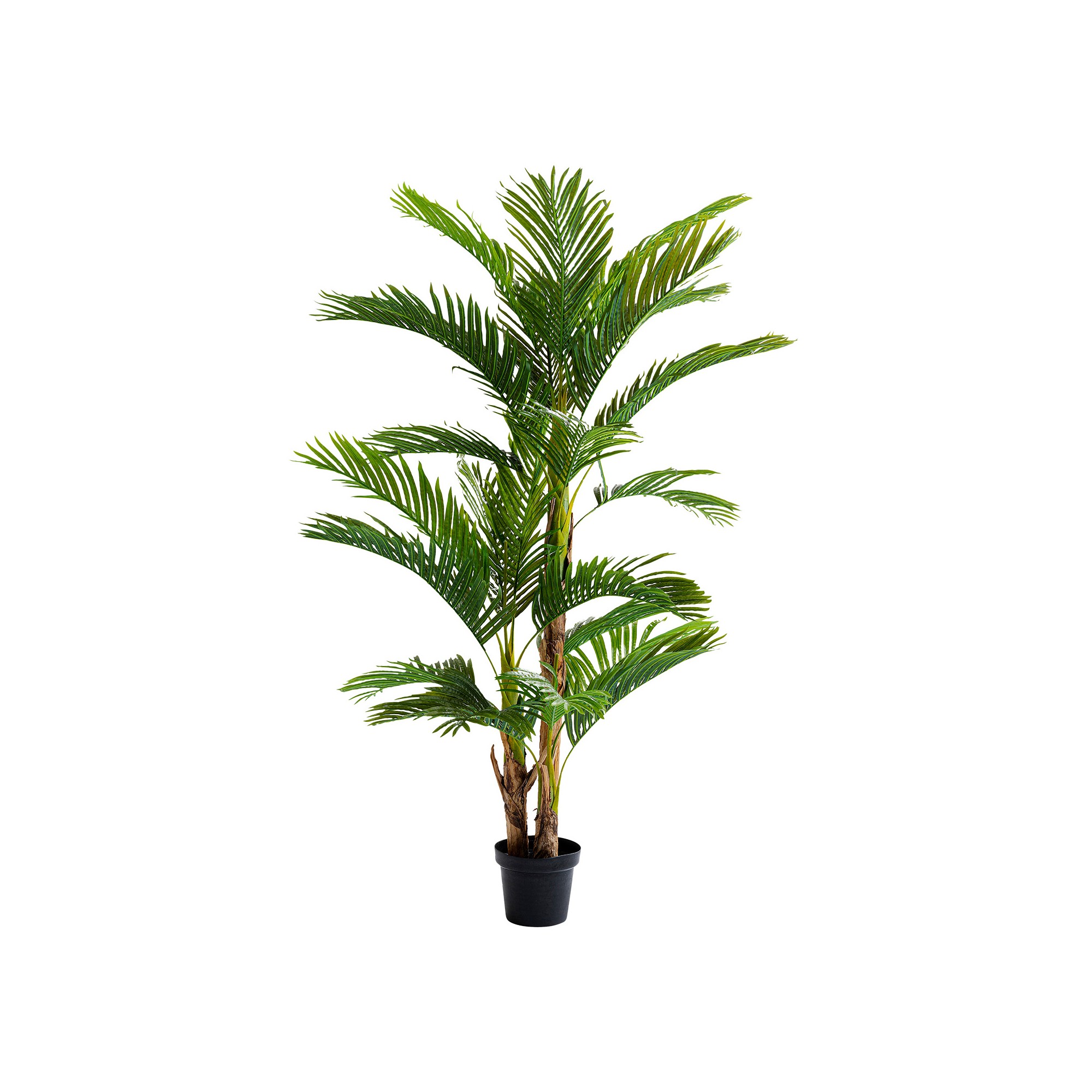 Deco plant palm tree 190cm Kare Design