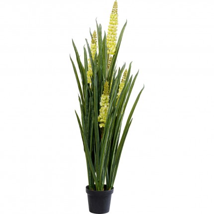 Deco Plant Rhynchostylis 150cm Kare Design