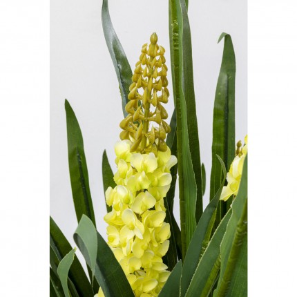 Deco Plant Rhynchostylis 150cm Kare Design