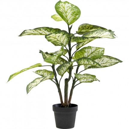 Deco plant Dieffenbachie 100cm Kare Design