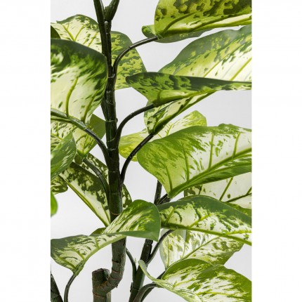 Deco plant Dieffenbachie 100cm Kare Design