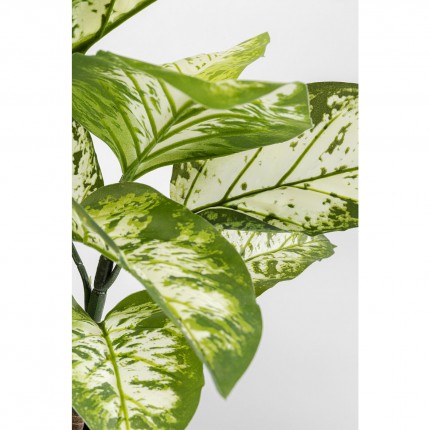 Deco plant Dieffenbachie 100cm Kare Design