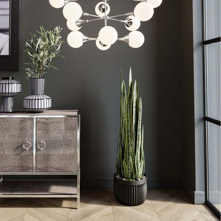 Deco Plant Sansevieria 155cm Kare Design