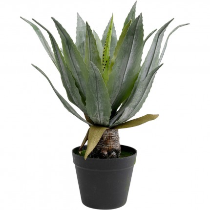 Deco plant agave 40cm Kare Design