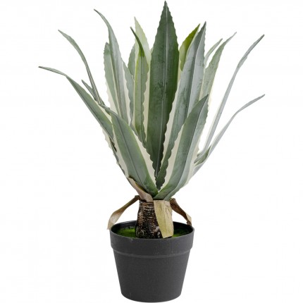 Deco plant agave 50cm Kare Design