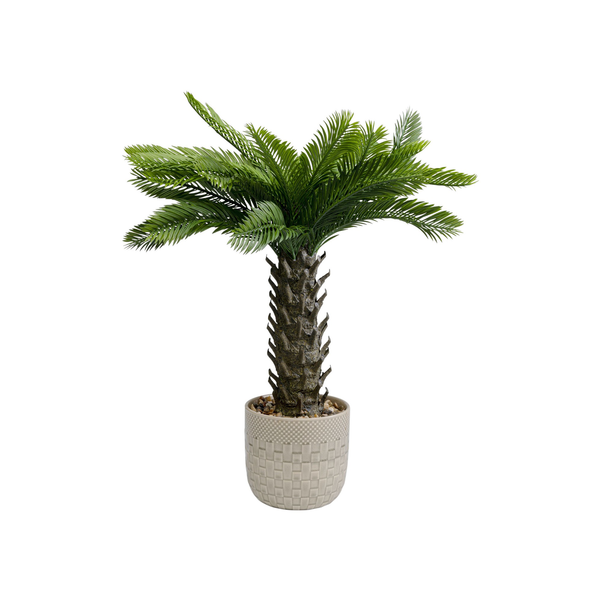 Plante décorative Cycas 70cm