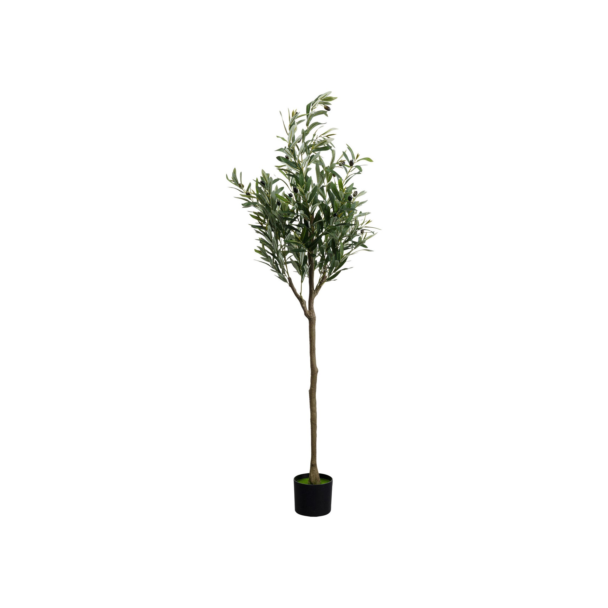 Plante décorative Olive Tree 150cm