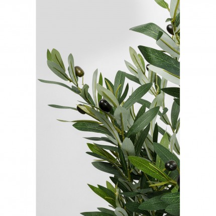 Deco plant olive tree 150cm Kare Design