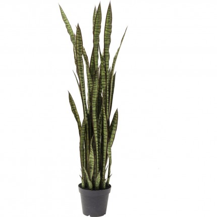 Deco Plant Sansevieria 155cm Kare Design