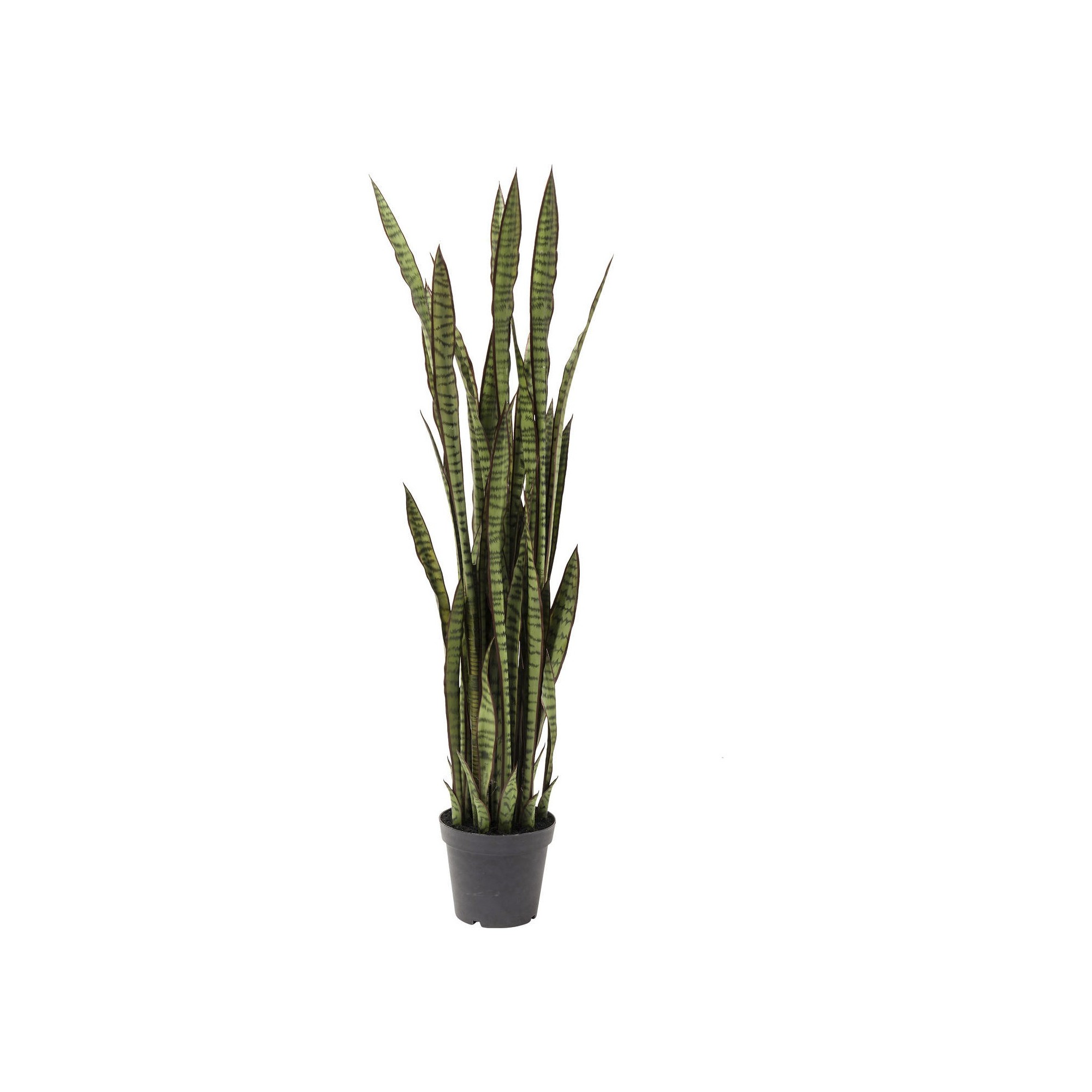 Deco Plant Sansewieria 155cm Kare Design