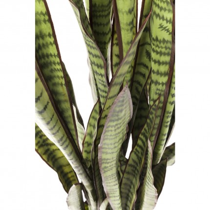 Deco Plant Sansevieria 155cm Kare Design