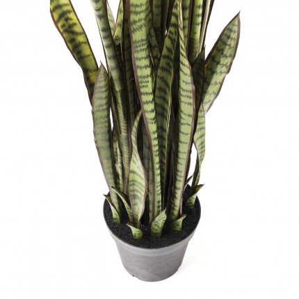 Deco Plant Sansevieria 155cm Kare Design