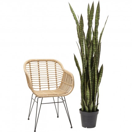 Deco Plant Sansevieria 155cm Kare Design