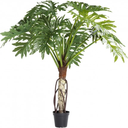 Deco Plant thaumatophyllum 175cm Kare Design