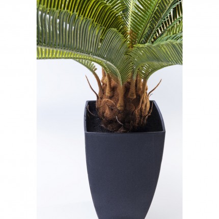 Deco Plant Cycas 78cm Kare Design