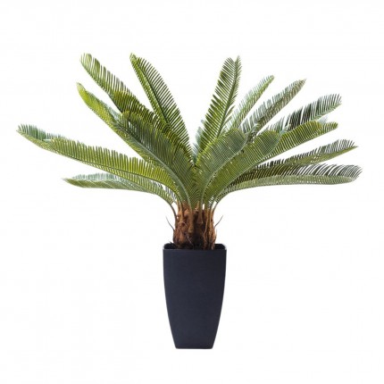 Deco Plant Cycas 78cm Kare Design