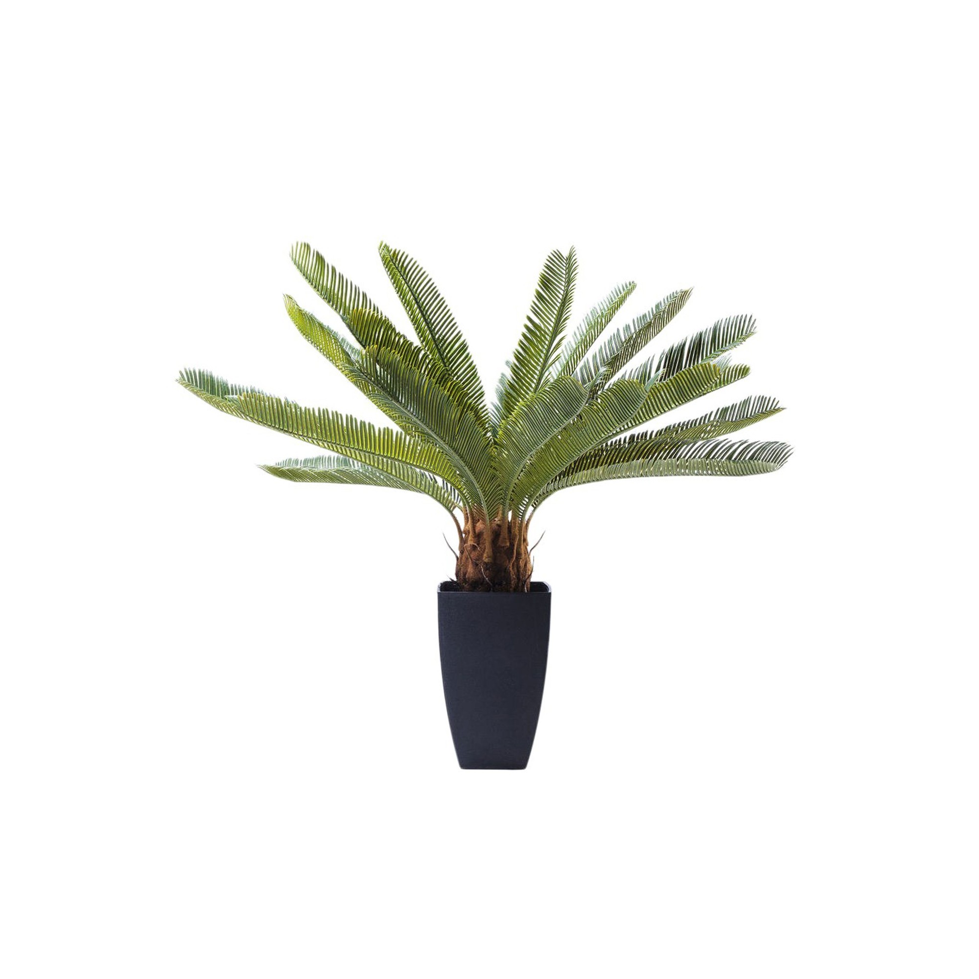 Deco Plant Cycas Tree 78cm Kare Design