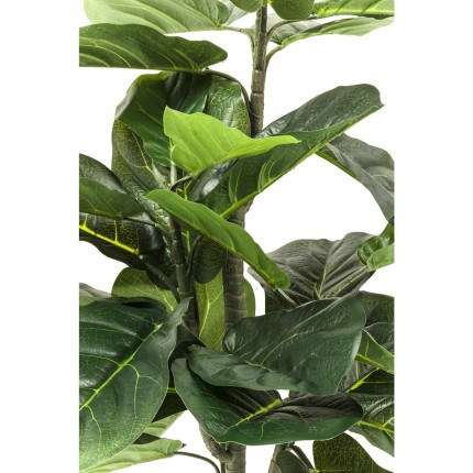 Deco Plant Ficus Lyrata 120cm Kare Design