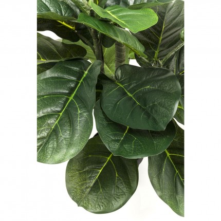 Deco Plant Ficus Lyrata 120cm Kare Design