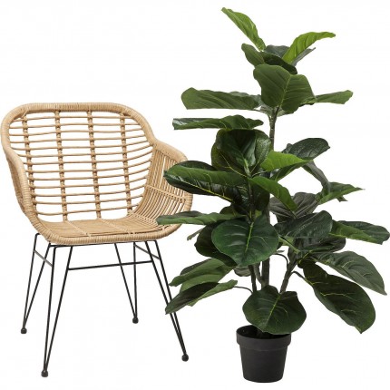 Deco Plant Ficus Lyrata 120cm Kare Design