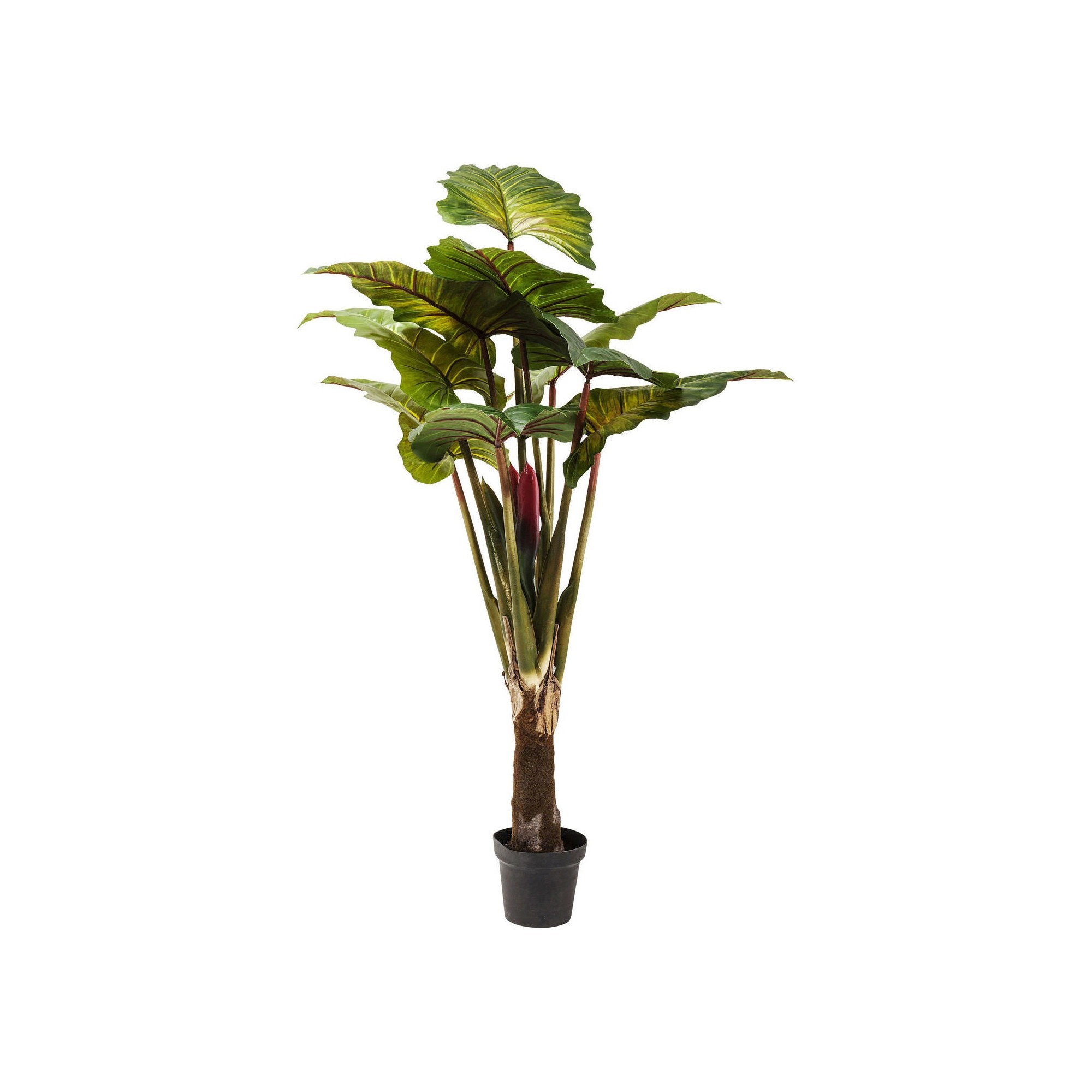 Deco Plant Rainforest Green 160cm Kare Design