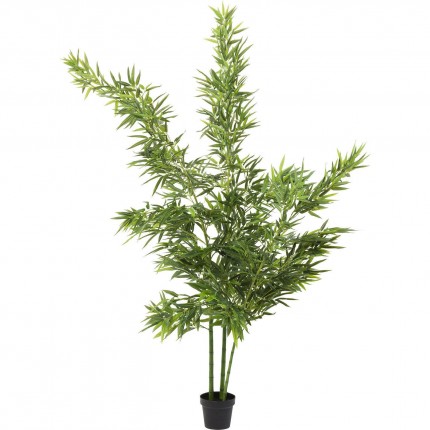 Deco Plant bamboo 200cm Kare Design