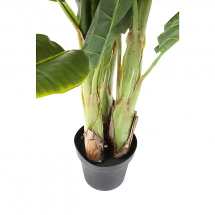 Deco Plant banana tree 180cm Kare Design