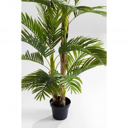 Deco plant palm tree 190cm Kare Design