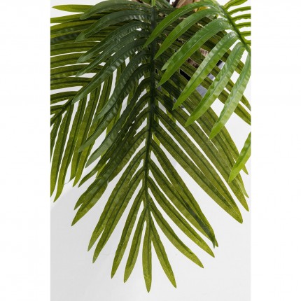 Deco plant palm tree 190cm Kare Design