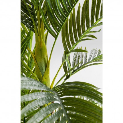 Deco plant palm tree 190cm Kare Design