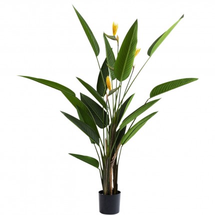 Deco Plant Strelitzia Reginae 190cm Kare Design