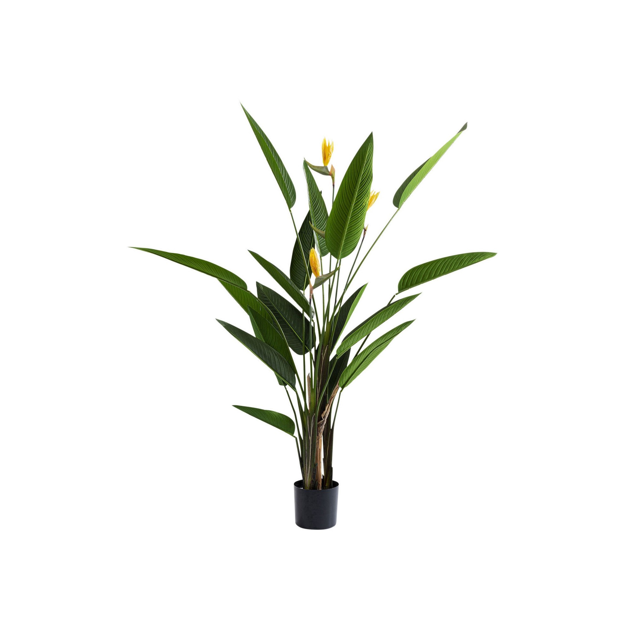 Deco Plant Paradise Flowers 190cm Kare Design