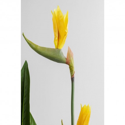 Deco Plant Strelitzia Reginae 190cm Kare Design