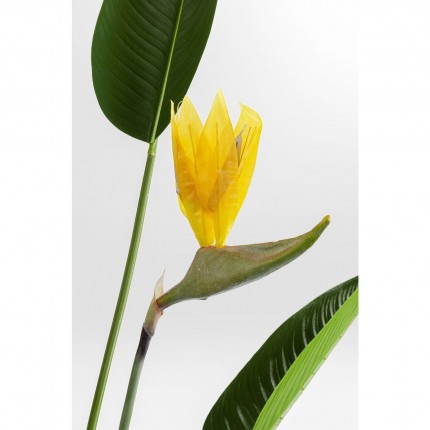 Deco Plant Strelitzia Reginae 190cm Kare Design