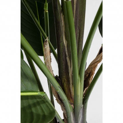 Deco Plant Strelitzia Reginae 190cm Kare Design