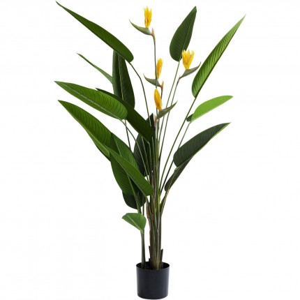 Deco Plant Strelitzia Reginae 190cm Kare Design