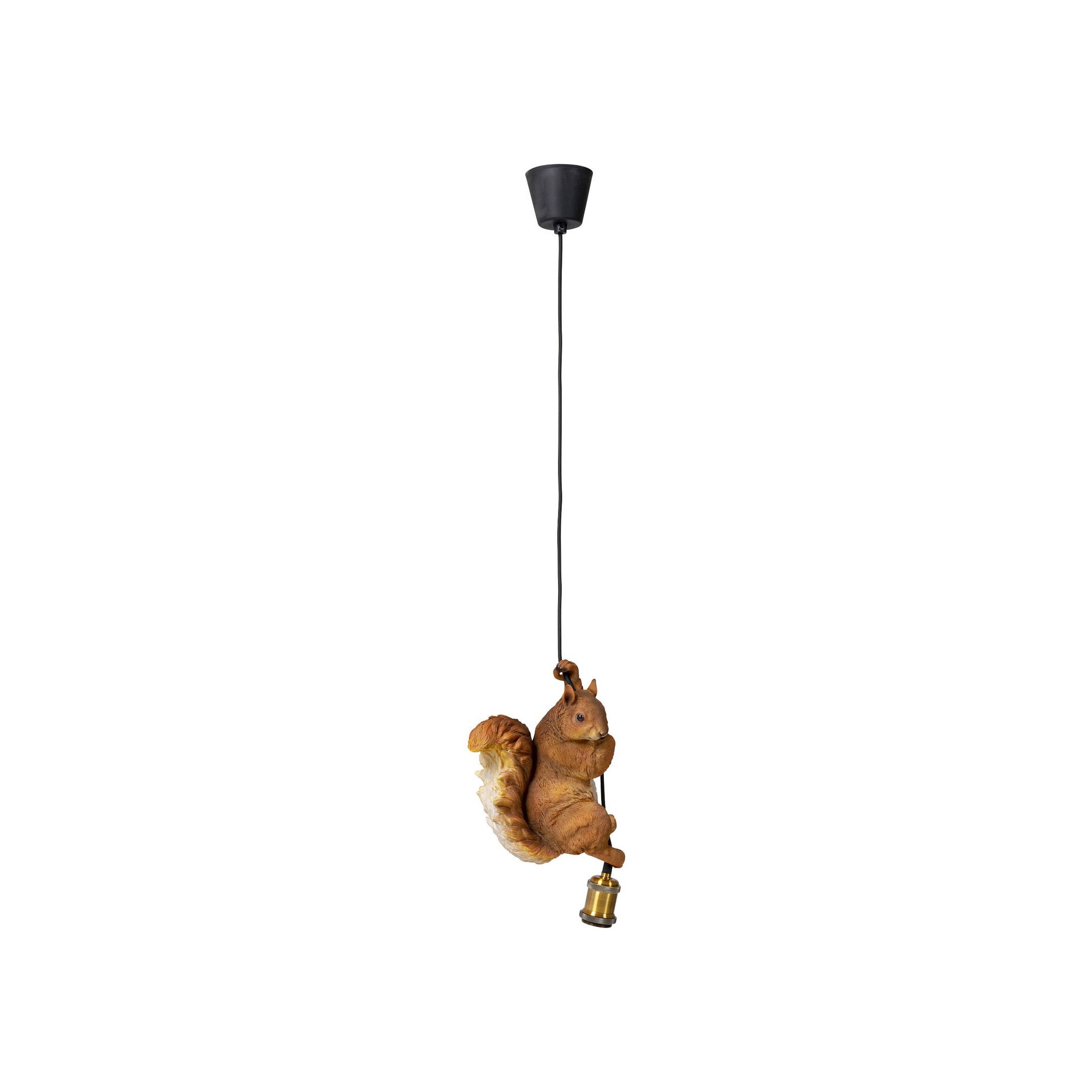 Suspension Squirrel